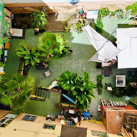 Hostel Jungle House Las Palmas de Gran Canaria Zewnętrze zdjęcie